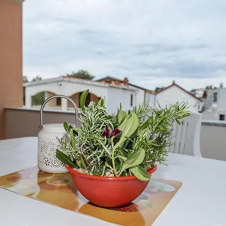 Apartment Simic
